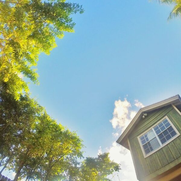 Best Ways to Prevent Your Home from Being Damaged by the Weather