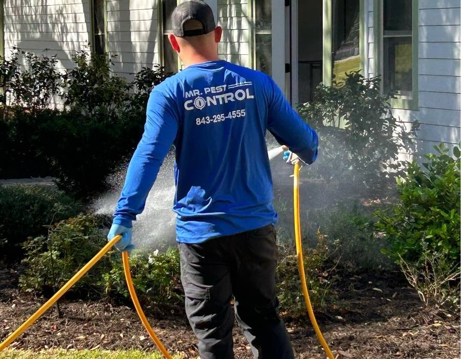 Pest control technician from Mr. Pest Control spraying residential lawn and foundation with insect treatment, wearing protective gear and using a yellow hose outside a white home.